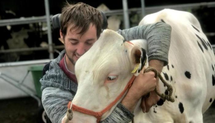 13a64c6b caa3 4267 b644 89efe3293599