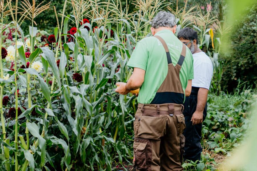 MirjanVaartjesFotografie Maargieshoeve(bewerkt,deel1) 45bijgesn